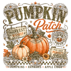 Fall Shirts