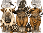 Fall Shirts